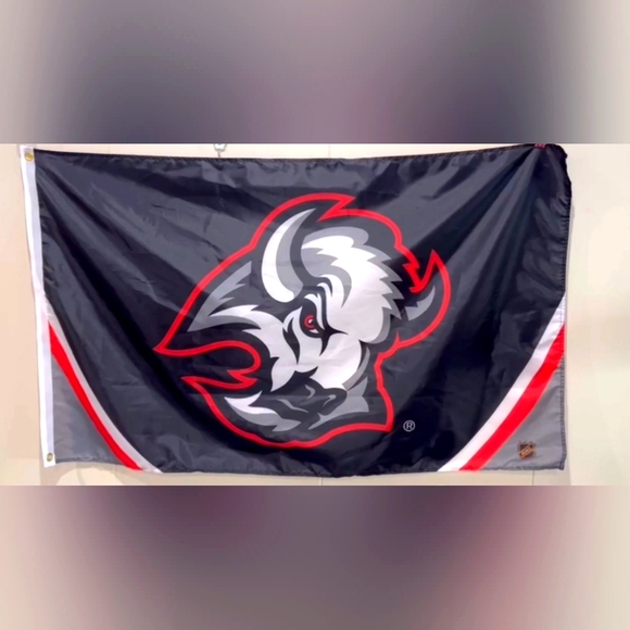 Buffalo Sabres Flag Banner 3x5 New GOAT HEAD - Picture 2 of 3